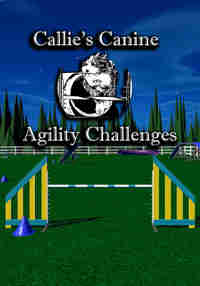 Callie's Canine Agility Challenges