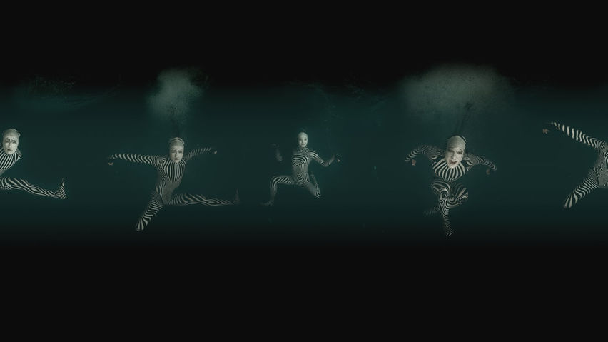 Cirque du Soleil