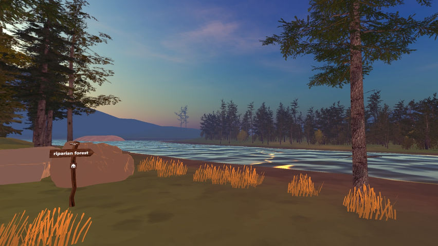Phusicos VR