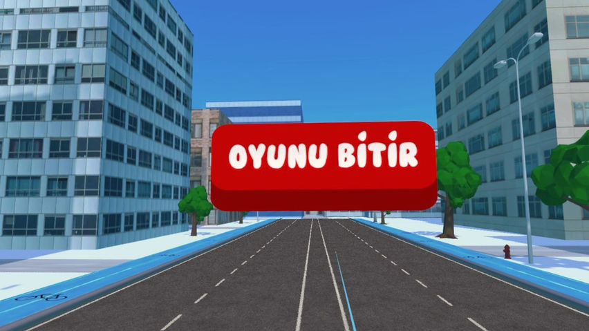 Traffic Sign Learning