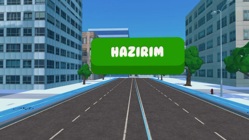 Traffic Sign Learning