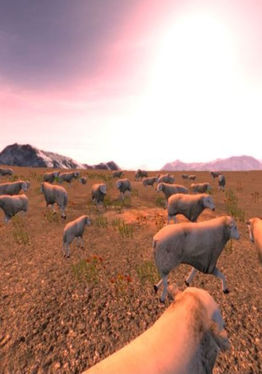 CountingSheepVR