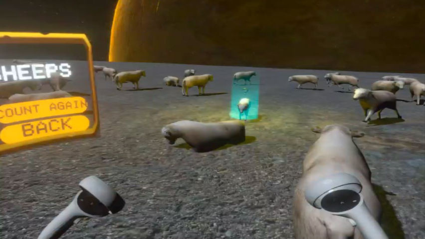 CountingSheepVR