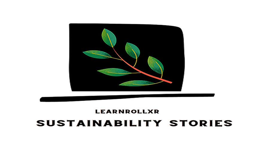 Sustainability Stories - The Wise Raccoon