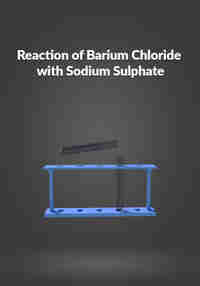 Reaction of Barium Chloride with Sodium Sulphate