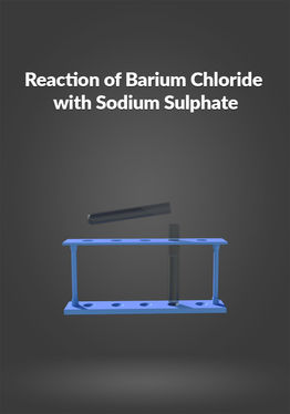 Reaction of Barium Chloride with Sodium Sulphate