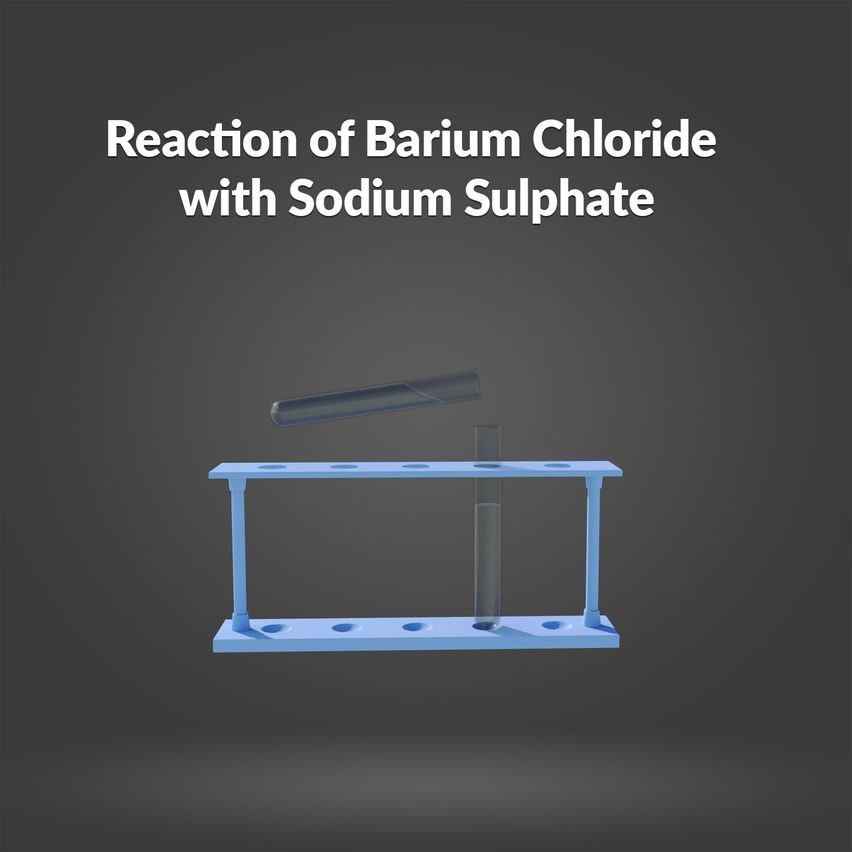 Reaction of Barium Chloride with Sodium Sulphate