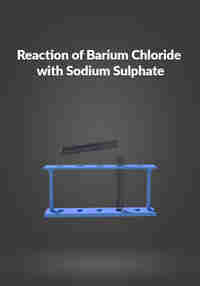 Reaction of Barium Chloride with Sodium Sulphate