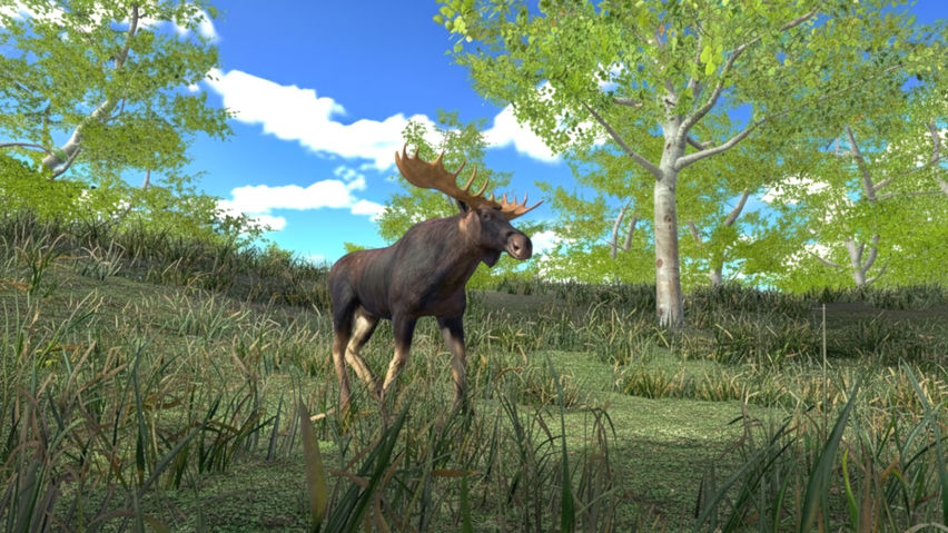 Hunting Simulator Game: Sniper Hunter VR