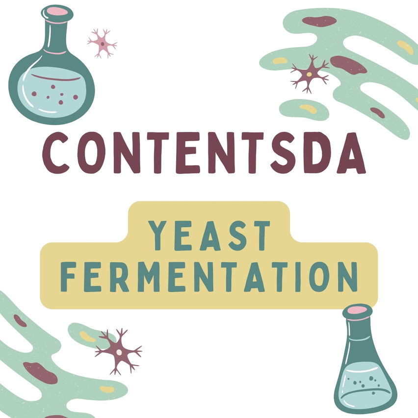 Yeast Fermentation Experiment - ContentsDa Science Experiment
