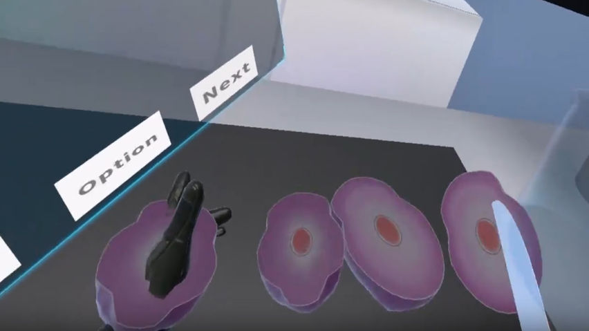 Cell Division Experiment - ContentsDa Science Experiment