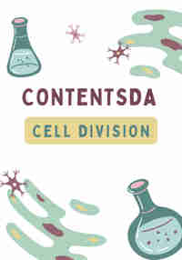 Cell Division Experiment - ContentsDa Science Experiment