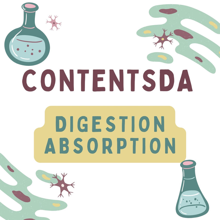 Digestion Absorption Experiment - ContentsDa Science Experiment