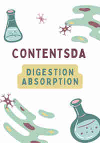 Digestion Absorption Experiment - ContentsDa Science Experiment