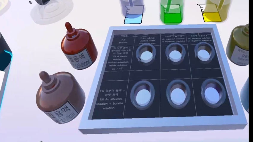 Digestion Absorption Experiment - ContentsDa Science Experiment