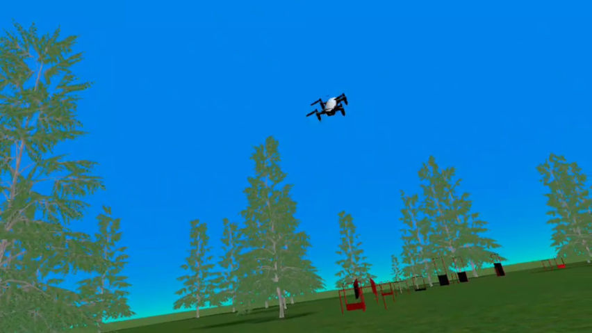 Simple Drone Practice