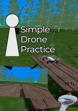 Simple Drone Practice