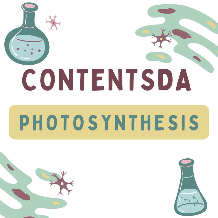 Photosynthesis Experiment - ContentsDa Science Experiment