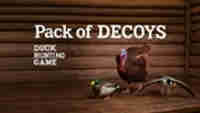Pack of three Decoys