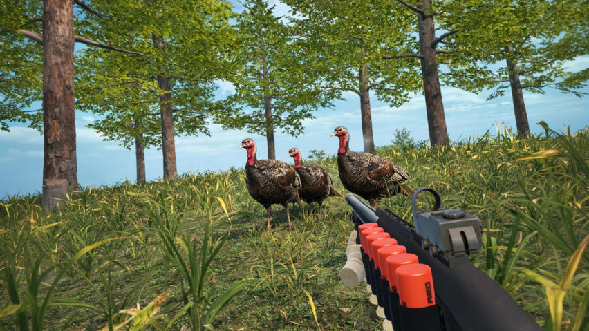 Duck Hunting Game: Hunter Sniper VR