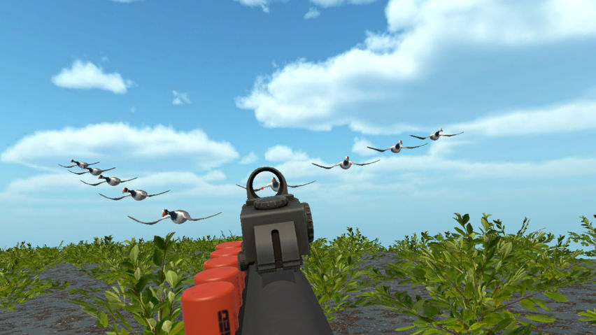 Duck Hunting Game