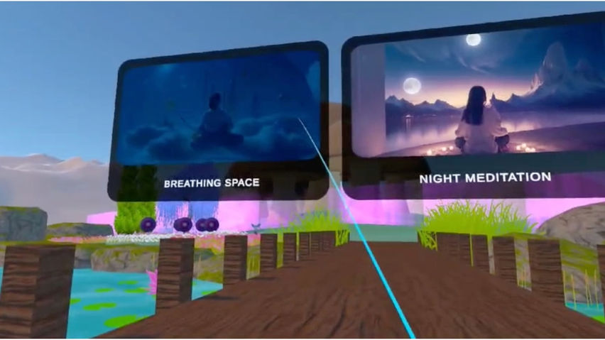 Maxim VR