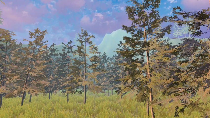 Forest Chill