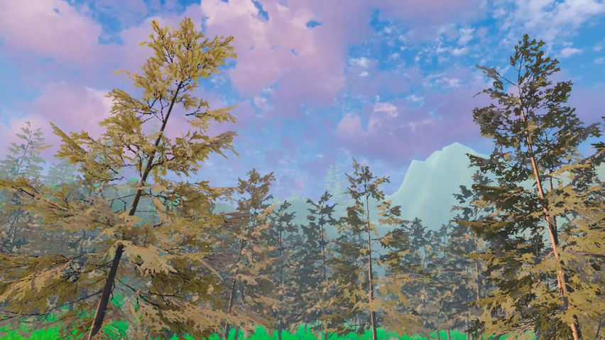 Forest Chill