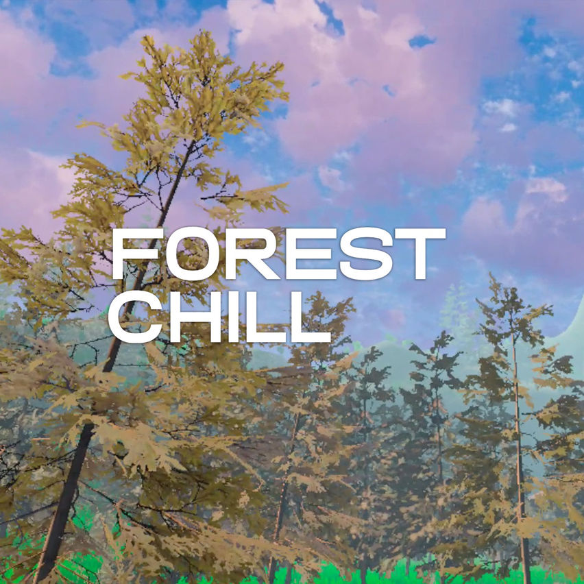 Forest Chill