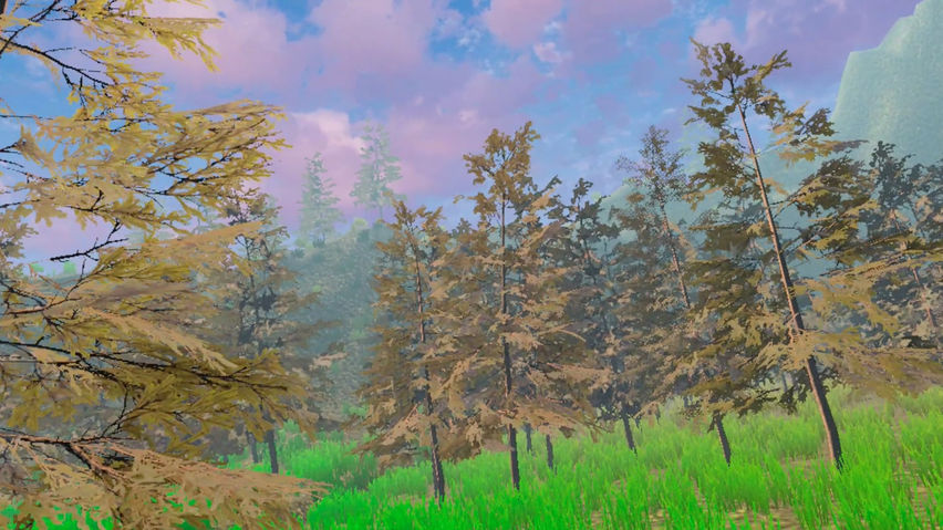 Forest Chill
