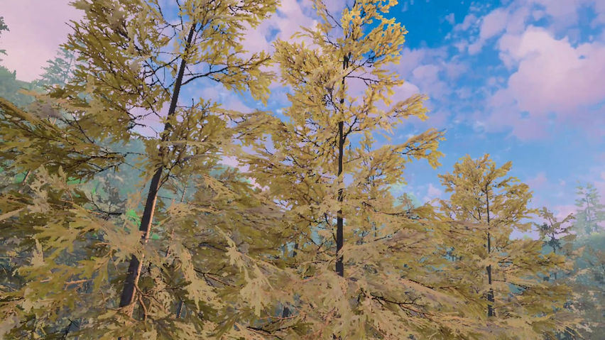 Forest Chill