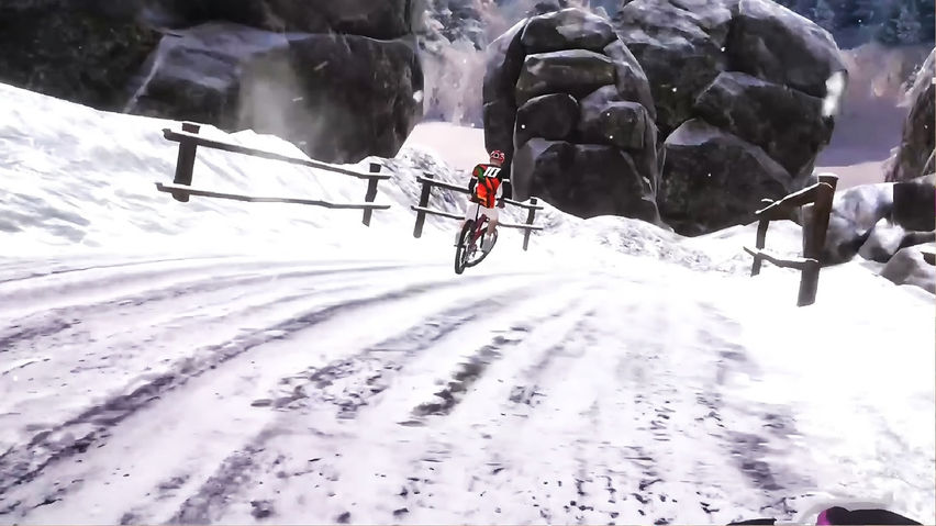 Mountain Bike Downhill