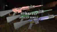 Oil Slick Multi-Weapon Skin Pack Bundle