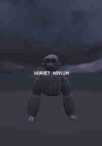 Vervet Asylum