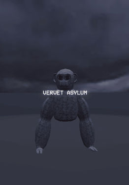 Vervet Asylum