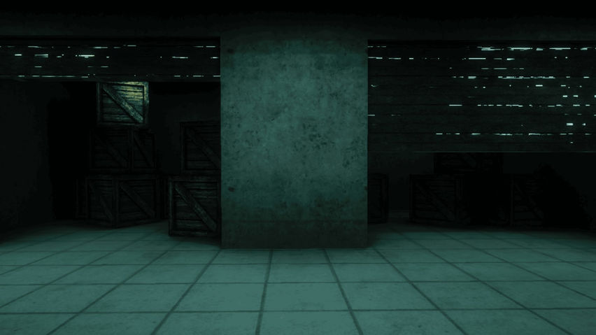 Vervet Asylum
