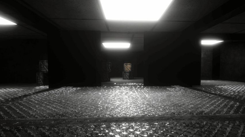 Vervet Asylum