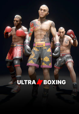 UltraBoxing - VR Boxing
