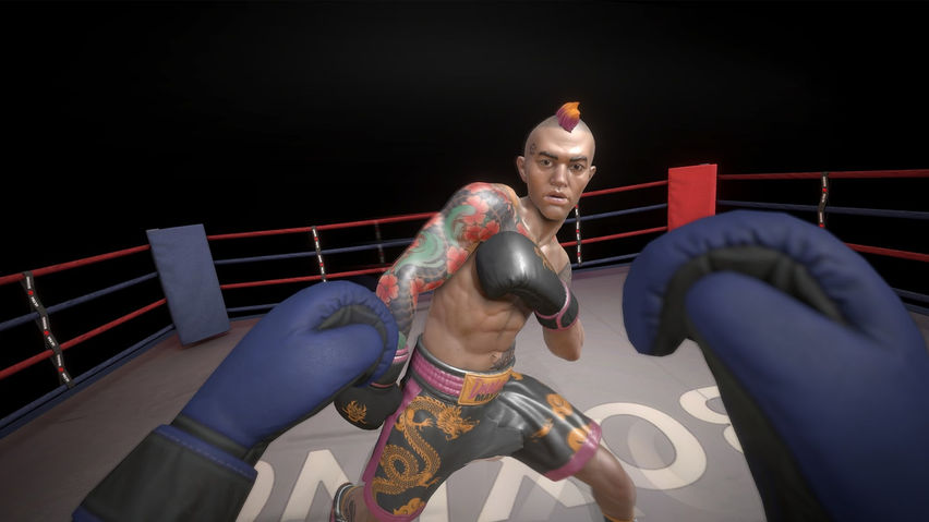 UltraBoxing - VR Boxing