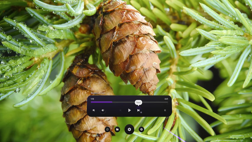 Commedia VR Video Player