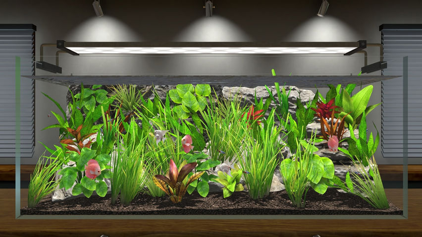 Aquascape - Early Access