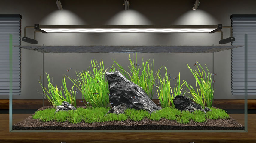 Aquascape - Early Access