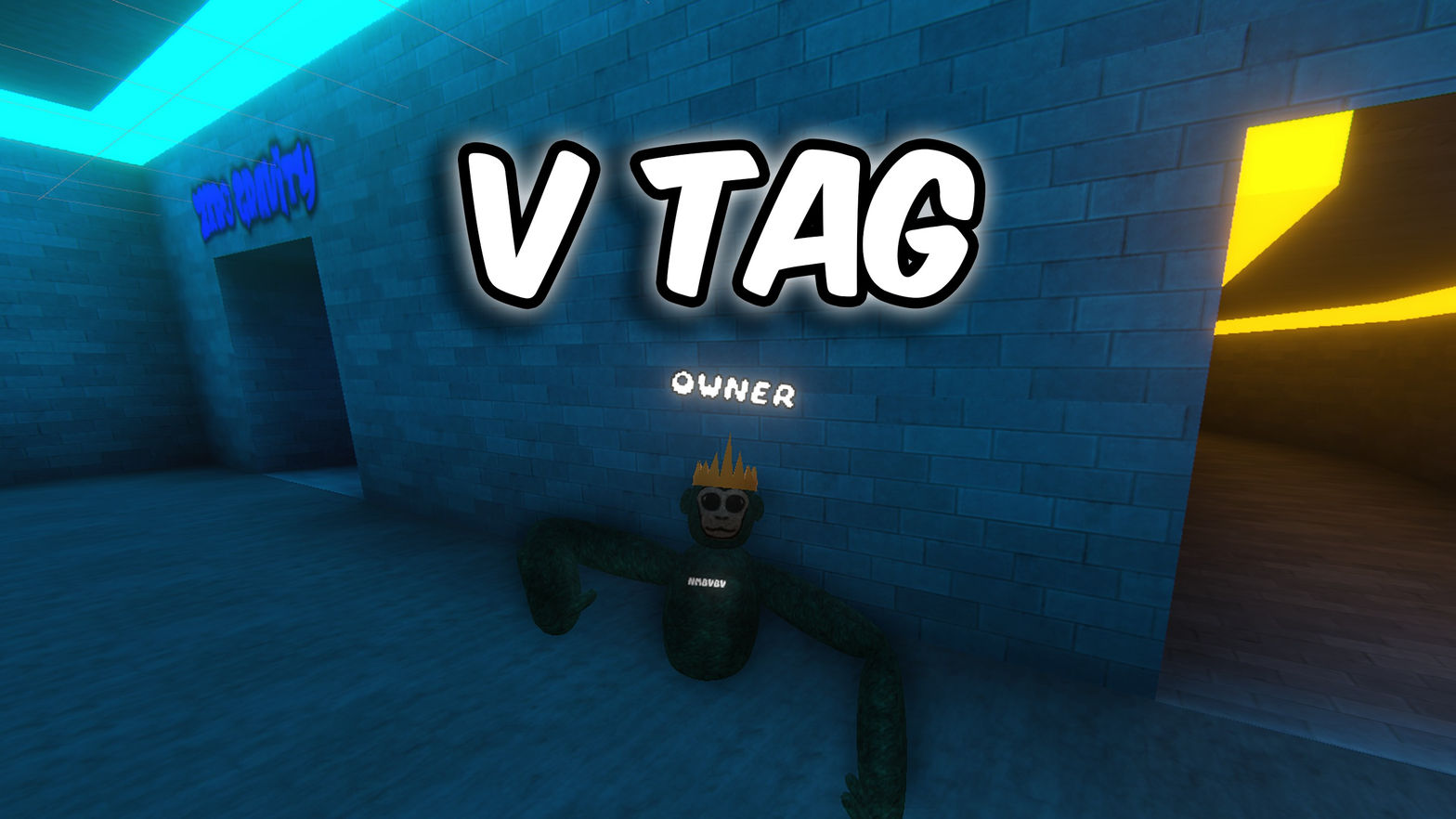 V TAG