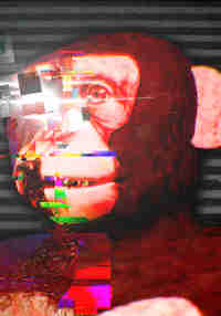 Revolt