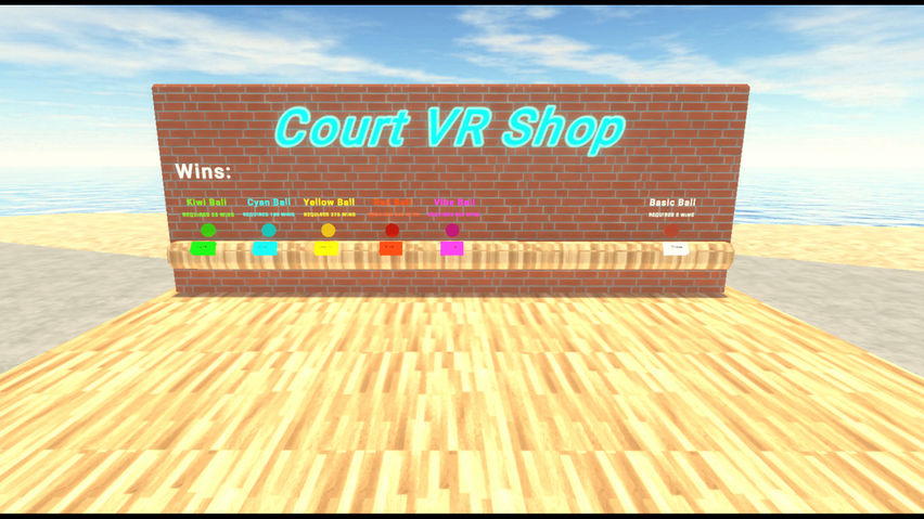 Basketball Court VR