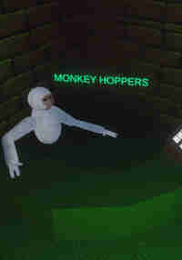Monkey Hoppers