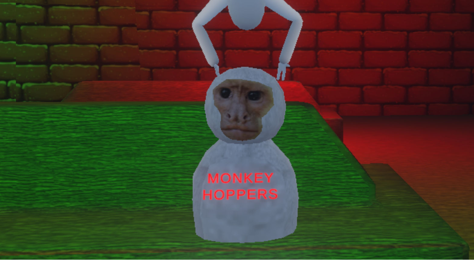 Monkey Hoppers
