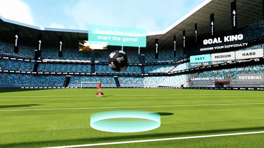 Goal King