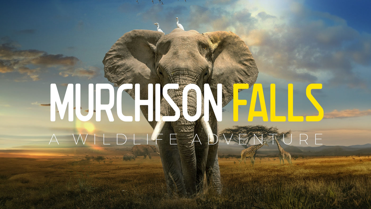 Murchison Falls: The Awarded Wildlife Adventure with Elephants, Lions and Hyenas