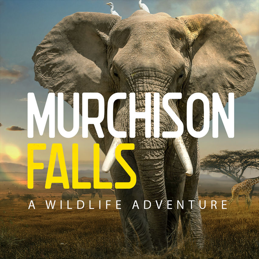 Murchison Falls: The Awarded Wildlife Adventure with Elephants, Lions and Hyenas